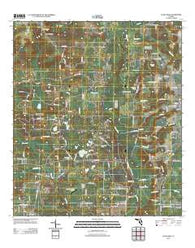 Altha West Florida Historical topographic map, 1:24000 scale, 7.5 X 7.5 Minute, Year 2012