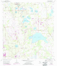 Alturas Florida Historical topographic map, 1:24000 scale, 7.5 X 7.5 Minute, Year 1955