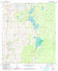 Anthony Florida Historical topographic map, 1:24000 scale, 7.5 X 7.5 Minute, Year 1967