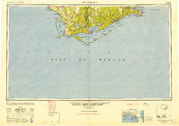 Apalachicola Florida Historical topographic map, 1:250000 scale, 1 X 2 Degree, Year 1949