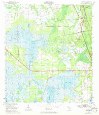 Aurantia Florida Historical topographic map, 1:24000 scale, 7.5 X 7.5 Minute, Year 1950