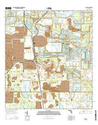 Baird Florida Current topographic map, 1:24000 scale, 7.5 X 7.5 Minute, Year 2015