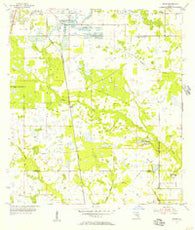 Baird Florida Historical topographic map, 1:24000 scale, 7.5 X 7.5 Minute, Year 1955