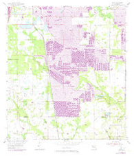 Baird Florida Historical topographic map, 1:24000 scale, 7.5 X 7.5 Minute, Year 1955