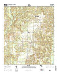 Baker Florida Current topographic map, 1:24000 scale, 7.5 X 7.5 Minute, Year 2015