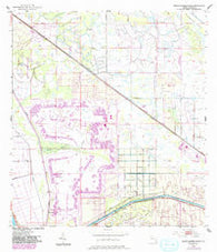 Barley Barber Swamp Florida Historical topographic map, 1:24000 scale, 7.5 X 7.5 Minute, Year 1953