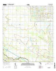 Basinger Florida Current topographic map, 1:24000 scale, 7.5 X 7.5 Minute, Year 2015