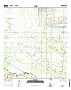 Basinger Florida Current topographic map, 1:24000 scale, 7.5 X 7.5 Minute, Year 2015