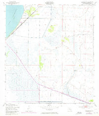 Basinger SW Florida Historical topographic map, 1:24000 scale, 7.5 X 7.5 Minute, Year 1953