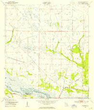 Basinger Florida Historical topographic map, 1:24000 scale, 7.5 X 7.5 Minute, Year 1953
