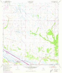 Basinger Florida Historical topographic map, 1:24000 scale, 7.5 X 7.5 Minute, Year 1953
