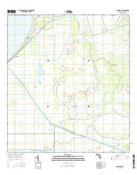 Basinger SW Florida Current topographic map, 1:24000 scale, 7.5 X 7.5 Minute, Year 2015