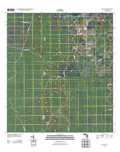 Bay Lake Florida Historical topographic map, 1:24000 scale, 7.5 X 7.5 Minute, Year 2012