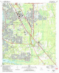 Bayard Florida Historical topographic map, 1:24000 scale, 7.5 X 7.5 Minute, Year 1993