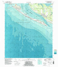 Beacon Beach Florida Historical topographic map, 1:24000 scale, 7.5 X 7.5 Minute, Year 1994