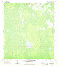 Belle Meade NE Florida Historical topographic map, 1:24000 scale, 7.5 X 7.5 Minute, Year 1958