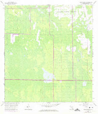 Belle Meade NE Florida Historical topographic map, 1:24000 scale, 7.5 X 7.5 Minute, Year 1958
