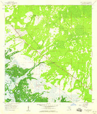 Belle Meade Florida Historical topographic map, 1:24000 scale, 7.5 X 7.5 Minute, Year 1958