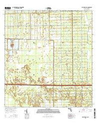 Belle Meade NE Florida Current topographic map, 1:24000 scale, 7.5 X 7.5 Minute, Year 2015