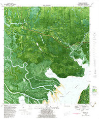 Beverly Florida Historical topographic map, 1:24000 scale, 7.5 X 7.5 Minute, Year 1981