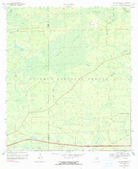 Big Gum Swamp Florida Historical topographic map, 1:24000 scale, 7.5 X 7.5 Minute, Year 1969