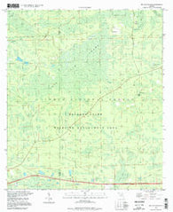 Big Gum Swamp Florida Historical topographic map, 1:24000 scale, 7.5 X 7.5 Minute, Year 1994