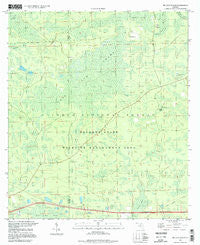 Big Gum Swamp Florida Historical topographic map, 1:24000 scale, 7.5 X 7.5 Minute, Year 1994