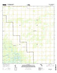 Big Boy Lake Florida Current topographic map, 1:24000 scale, 7.5 X 7.5 Minute, Year 2015