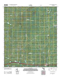 Big Gum Swamp Florida Historical topographic map, 1:24000 scale, 7.5 X 7.5 Minute, Year 2012