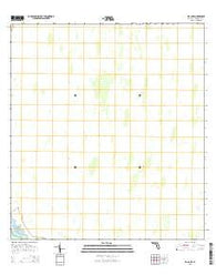 Big Lake Florida Current topographic map, 1:24000 scale, 7.5 X 7.5 Minute, Year 2015