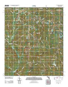 Blackman Florida Historical topographic map, 1:24000 scale, 7.5 X 7.5 Minute, Year 2011