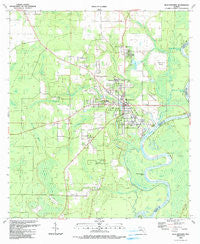 Blountstown Florida Historical topographic map, 1:24000 scale, 7.5 X 7.5 Minute, Year 1990