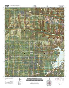 Bloxham Florida Historical topographic map, 1:24000 scale, 7.5 X 7.5 Minute, Year 2012