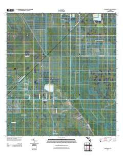 Bluefield Florida Historical topographic map, 1:24000 scale, 7.5 X 7.5 Minute, Year 2012