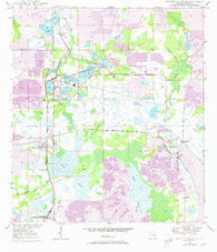 Bradley Junction Florida Historical topographic map, 1:24000 scale, 7.5 X 7.5 Minute, Year 1949