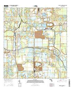 Bradley Junction Florida Current topographic map, 1:24000 scale, 7.5 X 7.5 Minute, Year 2015