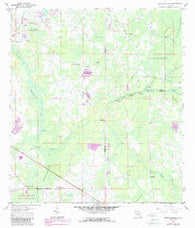 Branchborough Florida Historical topographic map, 1:24000 scale, 7.5 X 7.5 Minute, Year 1960