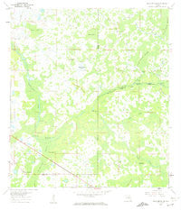 Branchborough Florida Historical topographic map, 1:24000 scale, 7.5 X 7.5 Minute, Year 1960