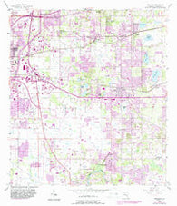 Brandon Florida Historical topographic map, 1:24000 scale, 7.5 X 7.5 Minute, Year 1956