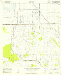 Brighton NW Florida Historical topographic map, 1:24000 scale, 7.5 X 7.5 Minute, Year 1953