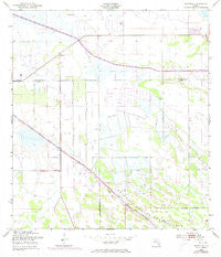 Brighton Florida Historical topographic map, 1:24000 scale, 7.5 X 7.5 Minute, Year 1953