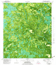 Broad Branch Florida Historical topographic map, 1:24000 scale, 7.5 X 7.5 Minute, Year 1982