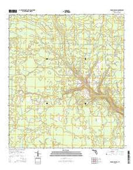 Broad Branch Florida Current topographic map, 1:24000 scale, 7.5 X 7.5 Minute, Year 2015
