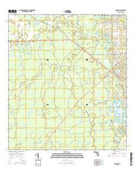 Bronson Florida Current topographic map, 1:24000 scale, 7.5 X 7.5 Minute, Year 2015
