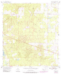 Bronson NE Florida Historical topographic map, 1:24000 scale, 7.5 X 7.5 Minute, Year 1955