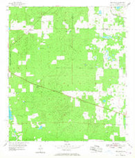 Bronson NE Florida Historical topographic map, 1:24000 scale, 7.5 X 7.5 Minute, Year 1955