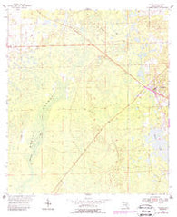 Bronson Florida Historical topographic map, 1:24000 scale, 7.5 X 7.5 Minute, Year 1954
