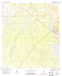 Bronson Florida Historical topographic map, 1:24000 scale, 7.5 X 7.5 Minute, Year 1954