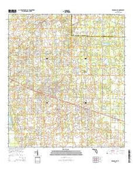 Bronson NE Florida Current topographic map, 1:24000 scale, 7.5 X 7.5 Minute, Year 2015