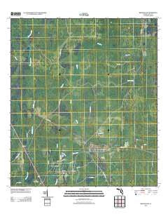 Bronson SW Florida Historical topographic map, 1:24000 scale, 7.5 X 7.5 Minute, Year 2012